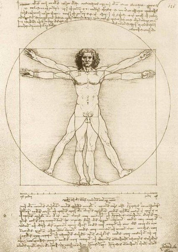 Leonardo: The Vitruvian Man