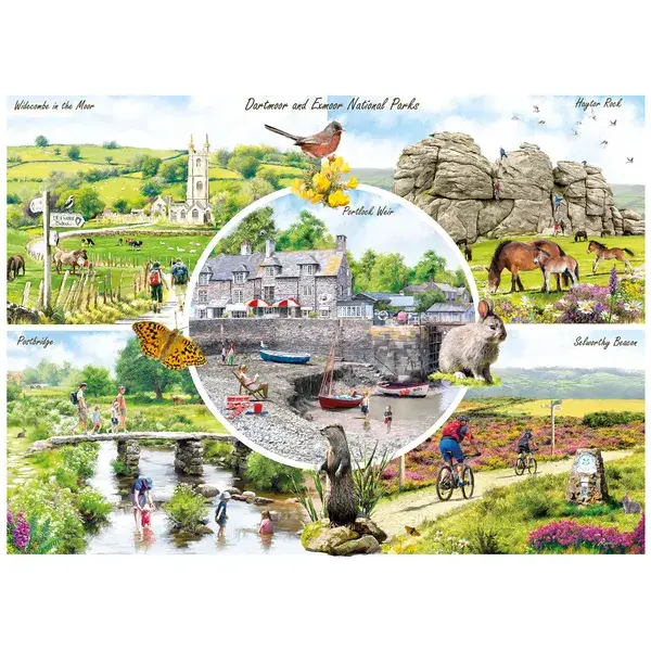 GIB: Macneil: Dartmoor & Exmoor / 1000