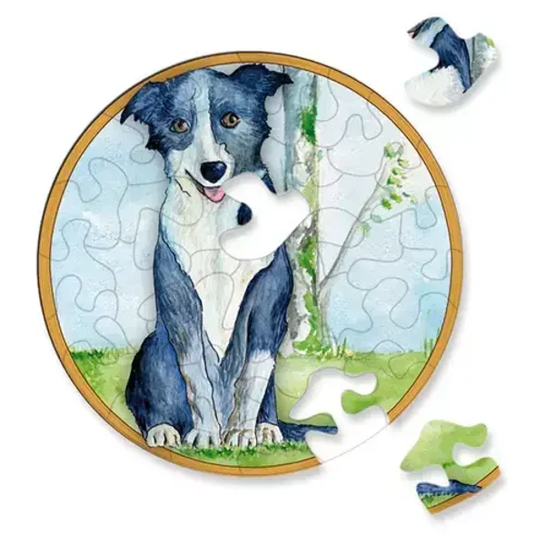 Picoli: Hund