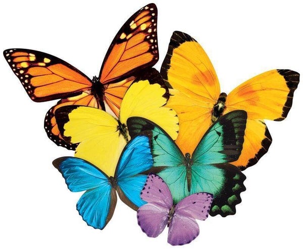 Butterflies / 524 (PH)