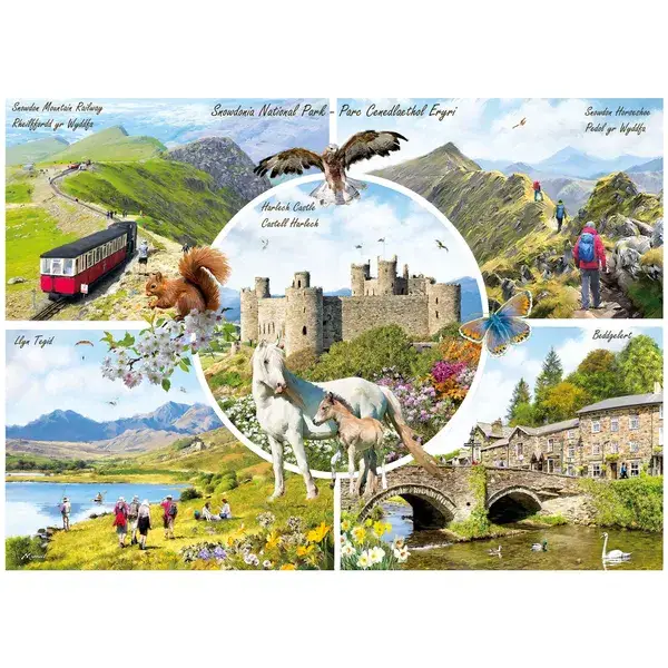GIB: Macneil: Snowdonia / 1000