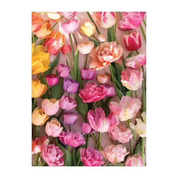 Chitnis: Ephemeral Tulips / 1000