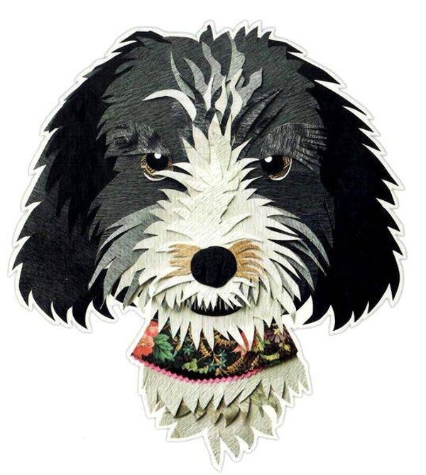 Evans: Paper Dog / 750