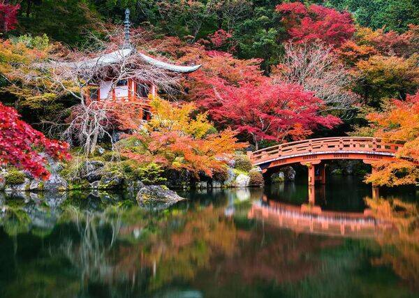 Beautiful Gardens: Kyoto, Daigo-ji / 1000