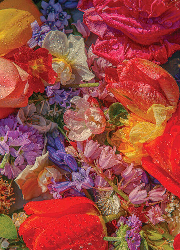 PW: Blossom