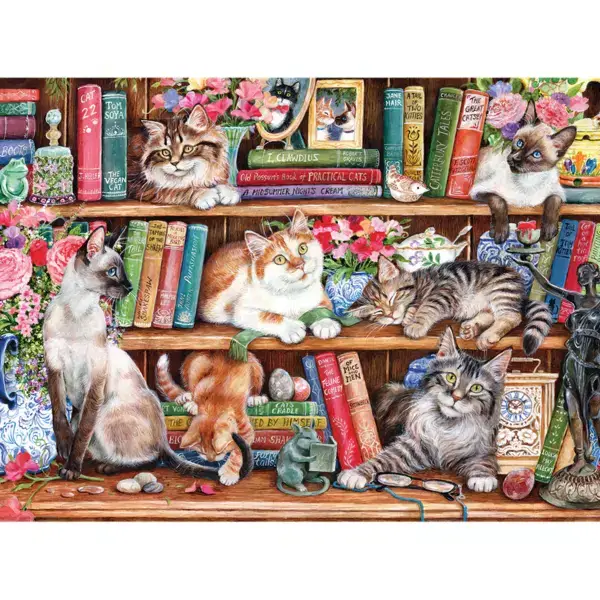 Cook: Puss Back in Books / 500 XXL