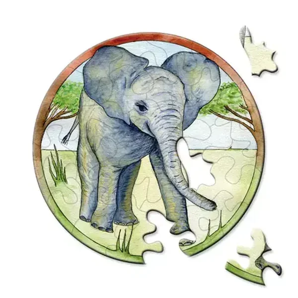 Picoli: Elefant