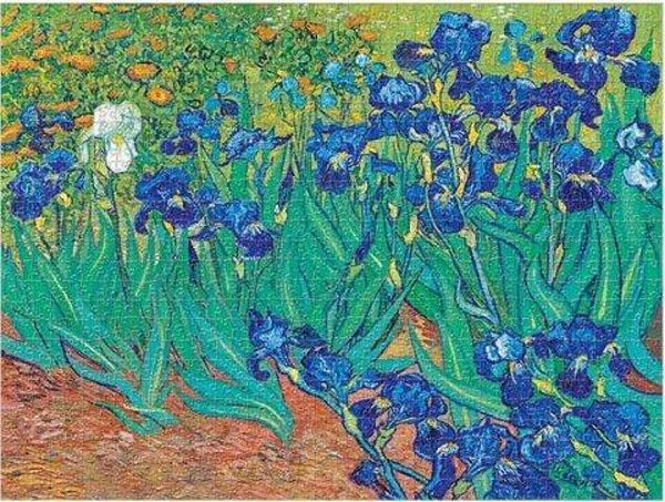 Van Gogh: Irises