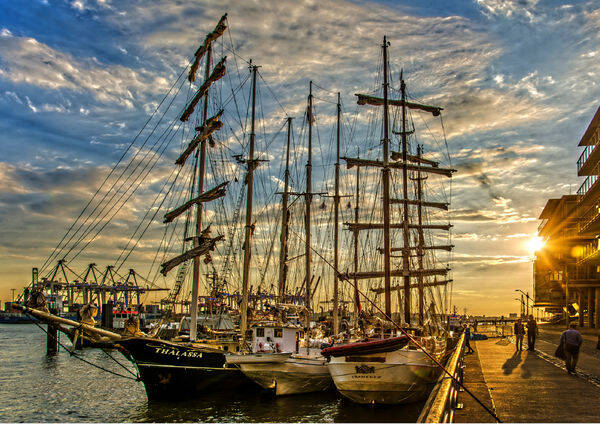 Hamburg. Museumshafen Oevelgönne / 1000