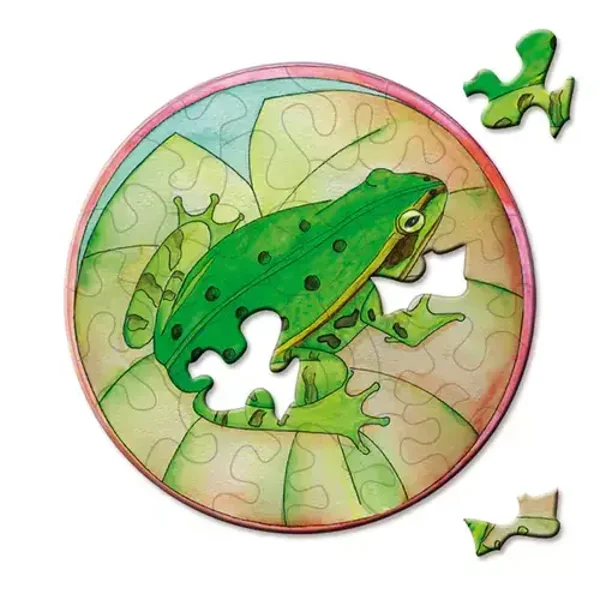 Picoli: Laubfrosch