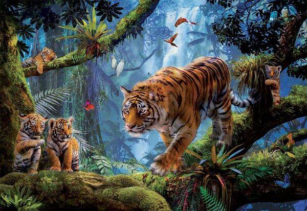 Krasny: Tigers in the Tree