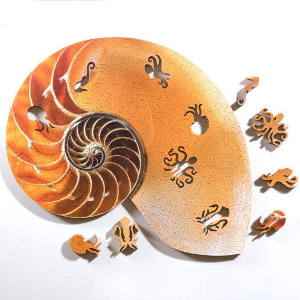 NS: Nautilus