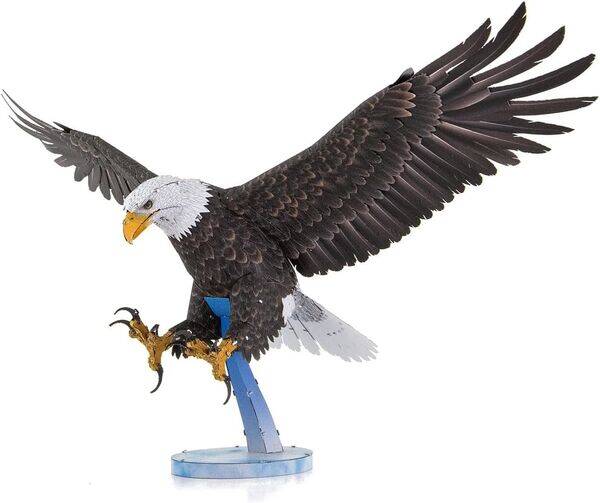 ME: Tiere / American Bald Eagle ***