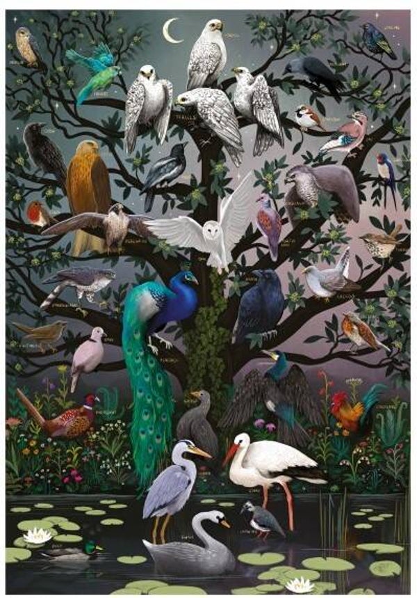 Stead: Parliament of Fowls / 1000