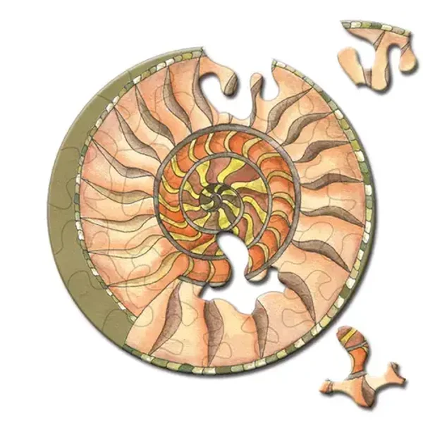 Picoli: Schnecke / 33 (CUR)
