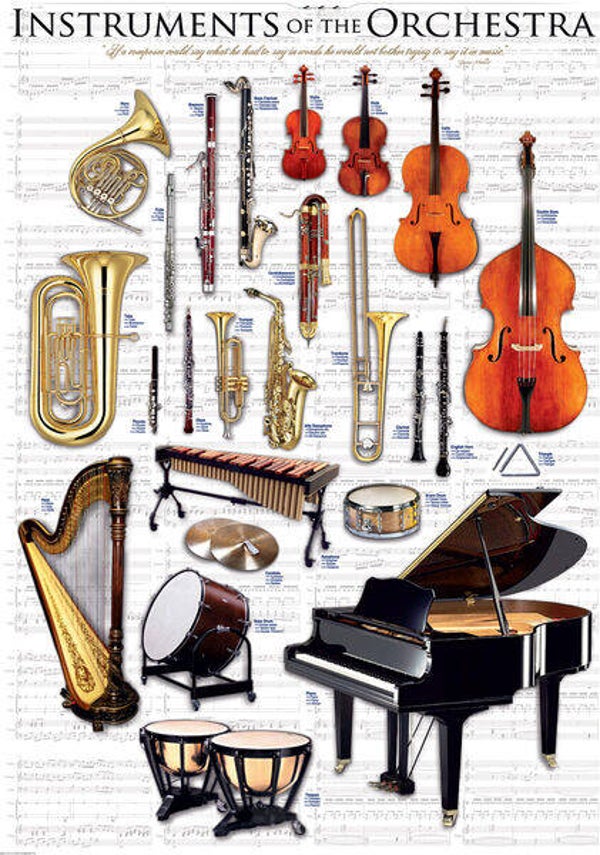Instruments of the Orchestra