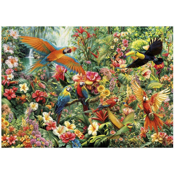 Amazon Birds