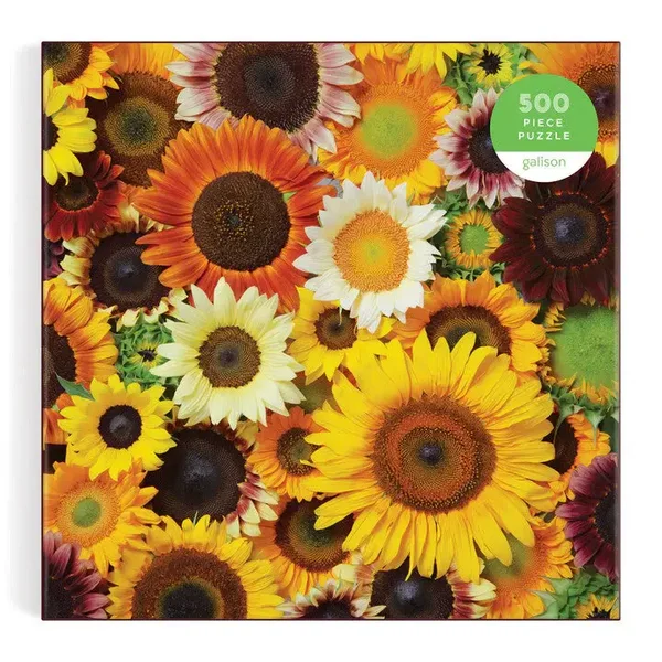 Seabrook Ream: Sunflower Blooms / 500
