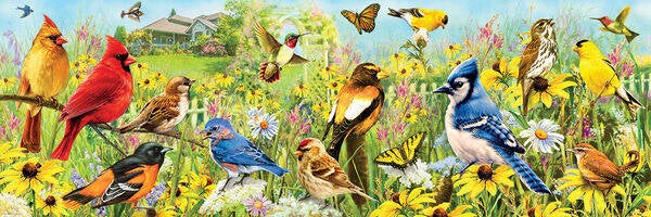 Giordano: Garden Birds