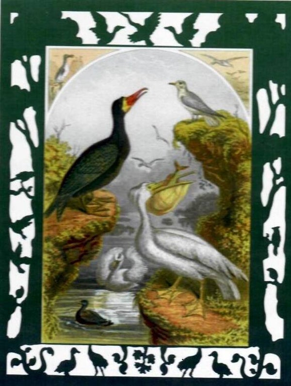 Traviès: Whimsical Birds / 328 (LIB)