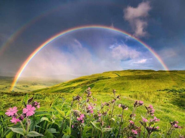 Power of Nature - Rainbowscape / 1530 (RAV)