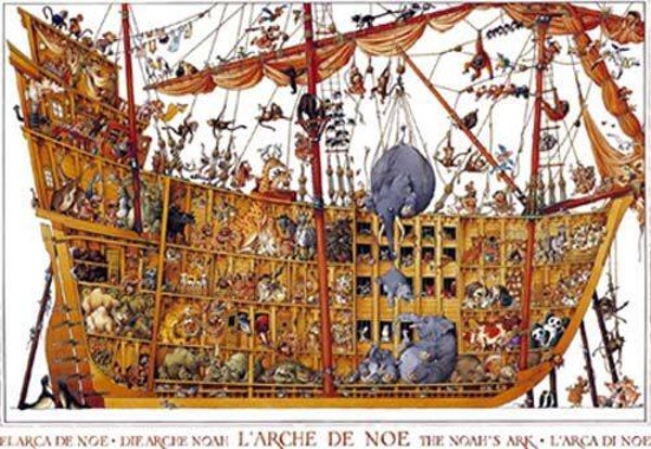 Loup: Arche Noah / 2000 DR