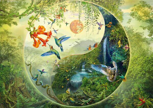 Christoph: Im Wald der Kolibris / 1000