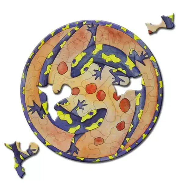 Picoli: Salamander