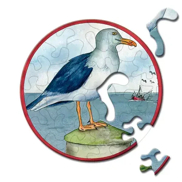 Picoli: Möwe