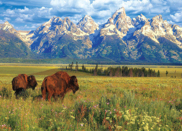 Wyoming, Grand Teton National Park