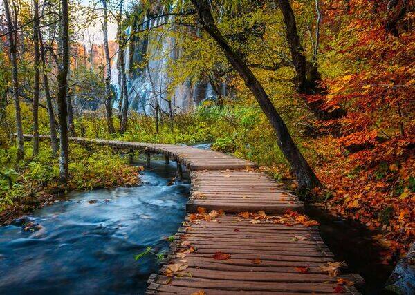 RAV: Beautiful Walkways: Autumn / 1000