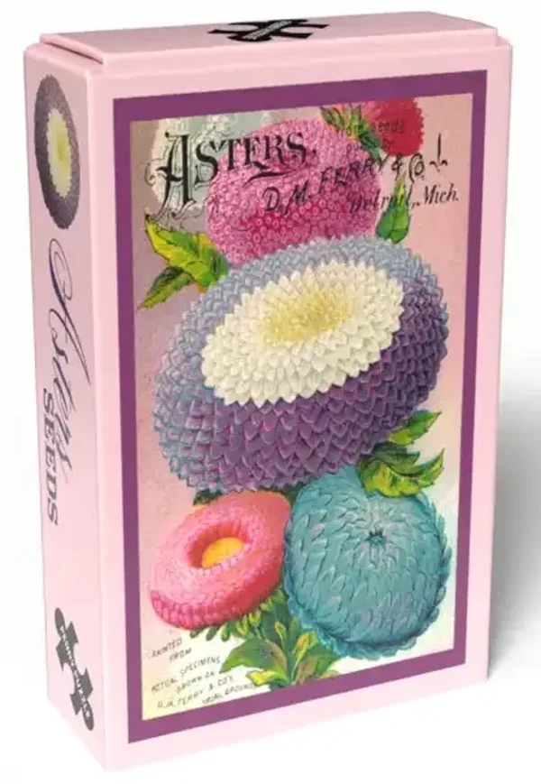 Seeds: Asters / 99 (PP)