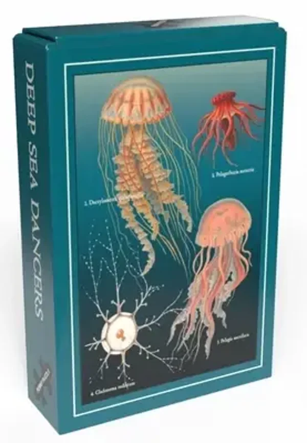 Deep Sea Dancers / 99 (PP)