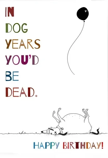 Ludy: In Dog Years you'd be Dead
