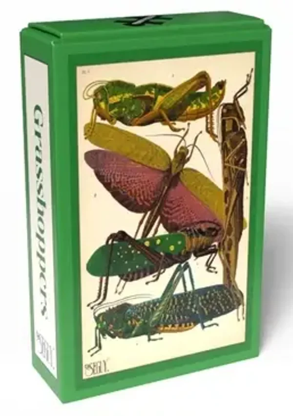 Grasshoppers / 99 (PP)