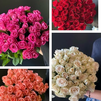 Roses Bouquet