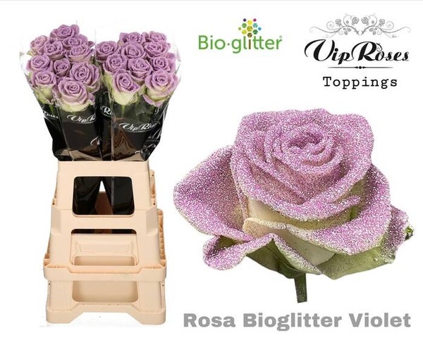 Roos paarse glitter