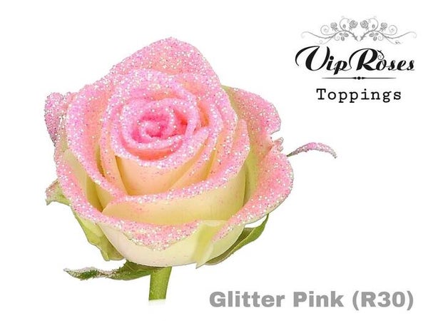 Roos Roze glitter