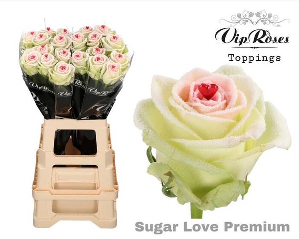 Roos Sugar love