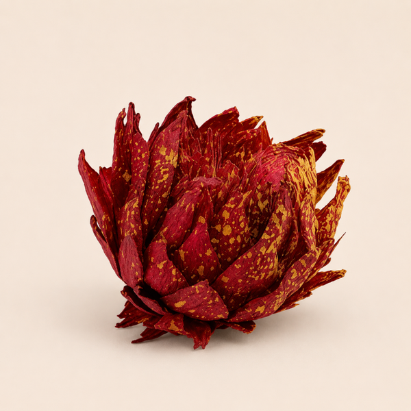 Gedroogde Cynara Bloem (diverse kleuren)