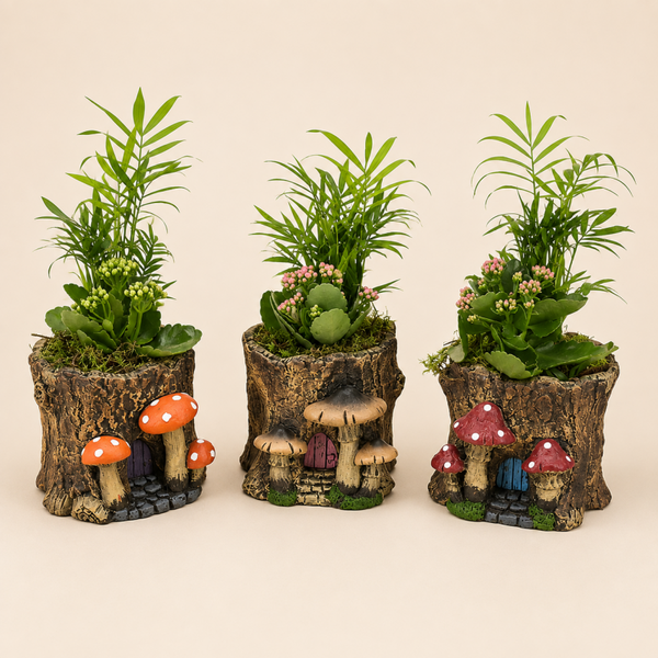Plantenarrangement Paddenstoelenpot – Diverse Varianten