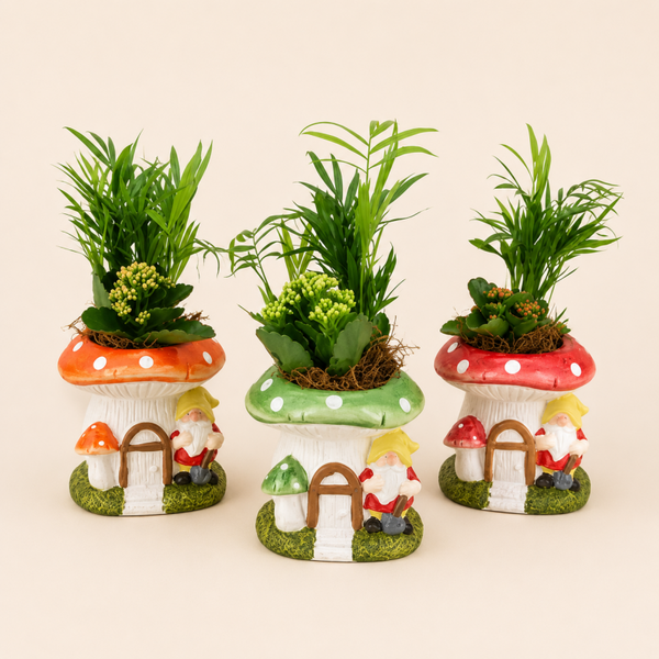 Plantenarrangement Kabouterhuis – Diverse Kleuren