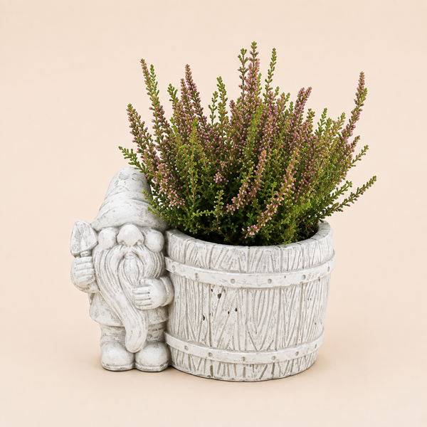 Heide in Decoratieve Kabouterpot