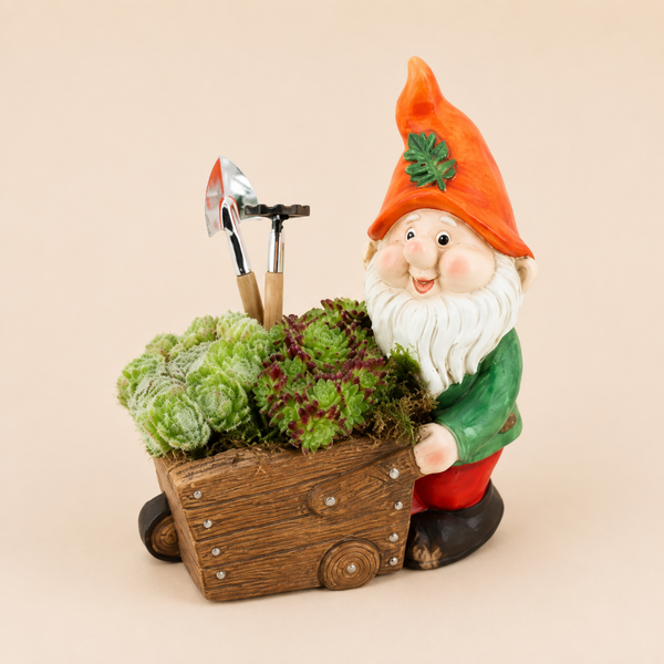 Kabouter met Kruiwagen en Vetplanten