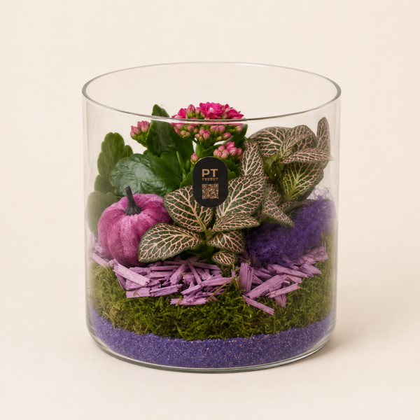 Herfstarrangement in Glas – Kalanchoë & Fittonia