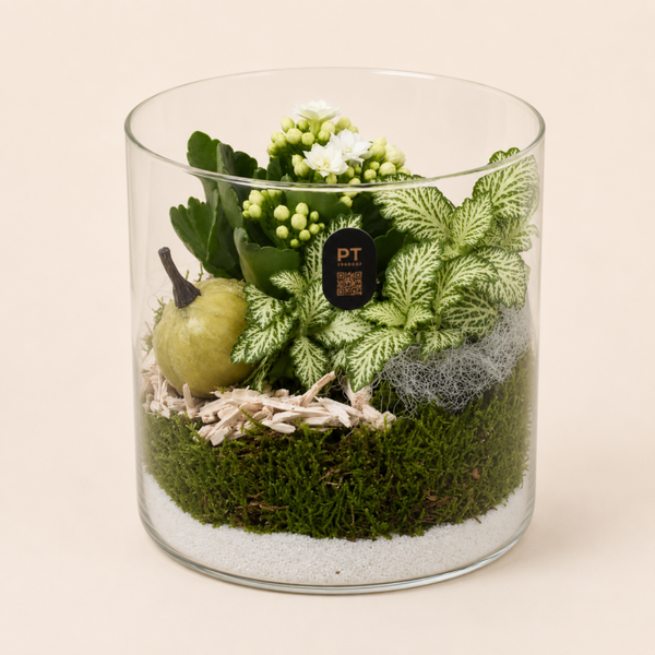 Herfstarrangement in Glas – Kalanchoë & Fittonia Groen