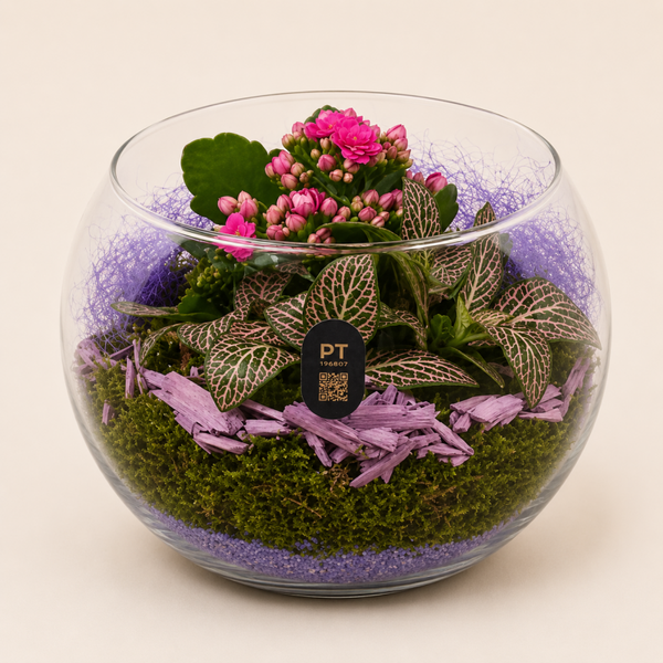 Herfstarrangement Glazen Bol – Kalanchoë Roze & Fittonia