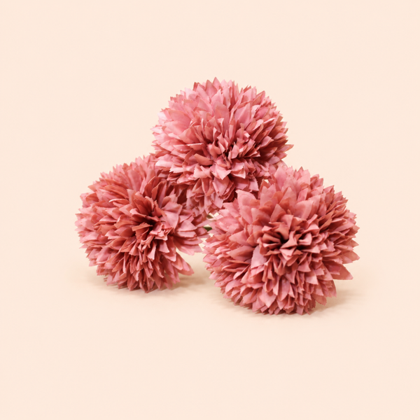 Pomponchrysant - Kunst