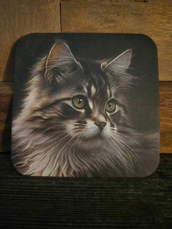 Viltjes / onderzetters 9x9 cm.