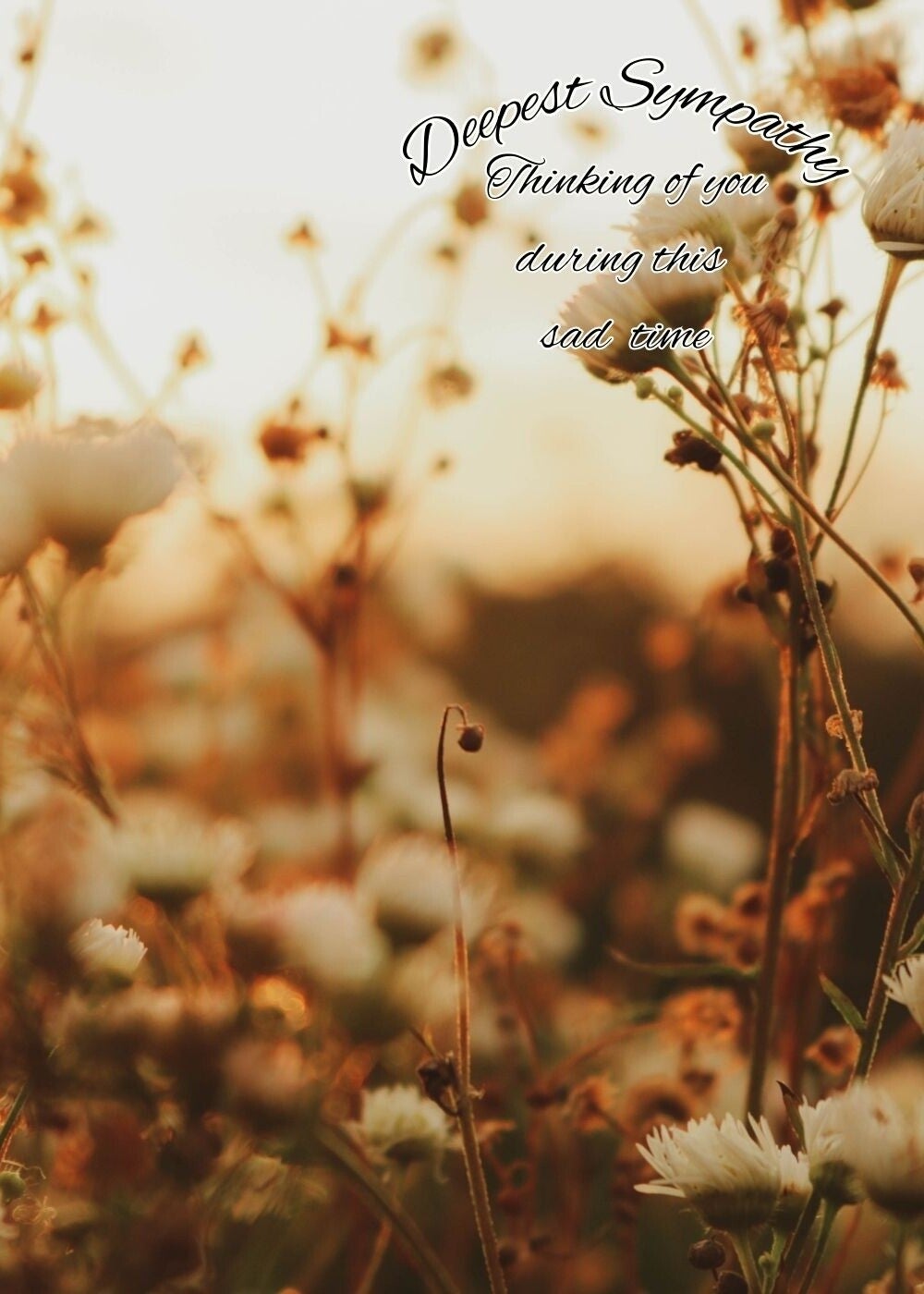 Sympathy Card - Deepest Sympathy